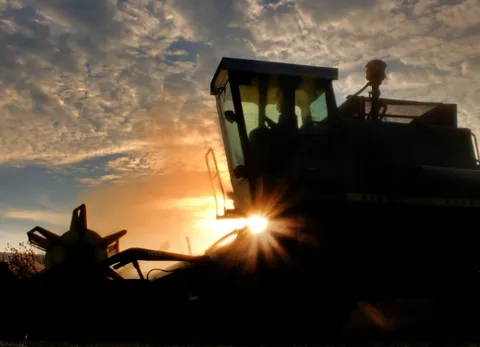 Is it increasing or decreasing? China&rsquo;s edible oil production and consumption forecast