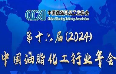 Notice on Convening the 16th (2024) Annual Meeting of China's Oil and Chemical Industry (Third Round)