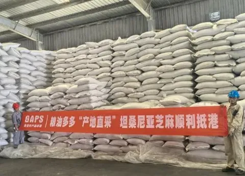 More Grain and Oil Joins Hands with the World Top 500, GAPS Agricultural Products Seeking Source-Entering Africa to "Source Direct Harvest" High Quality Sesame