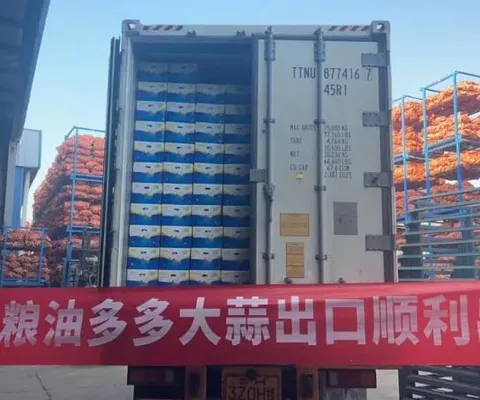 Liyoutoudou GAPS Achieves Another Milestone: Chinese-Grown Garlic Successfully Enters Kenya, Ushering in a Brilliant New Chapter in Cross-Border Trade