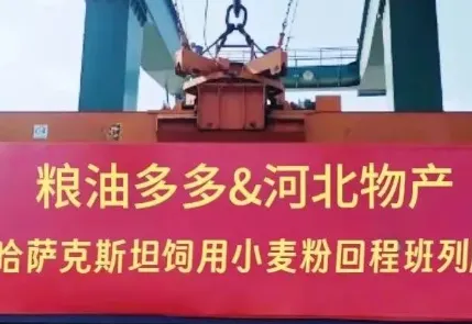 New Year kickoff! Liangyou Duoduo, in collaboration with Hebei Commodity Corporation, successfully dispatched the inaugural block train carrying Kazakh feed-grade wheat flour to China.
