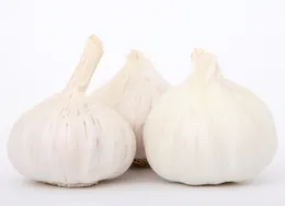 FRESH GARLIC (GARLIC BULBS)