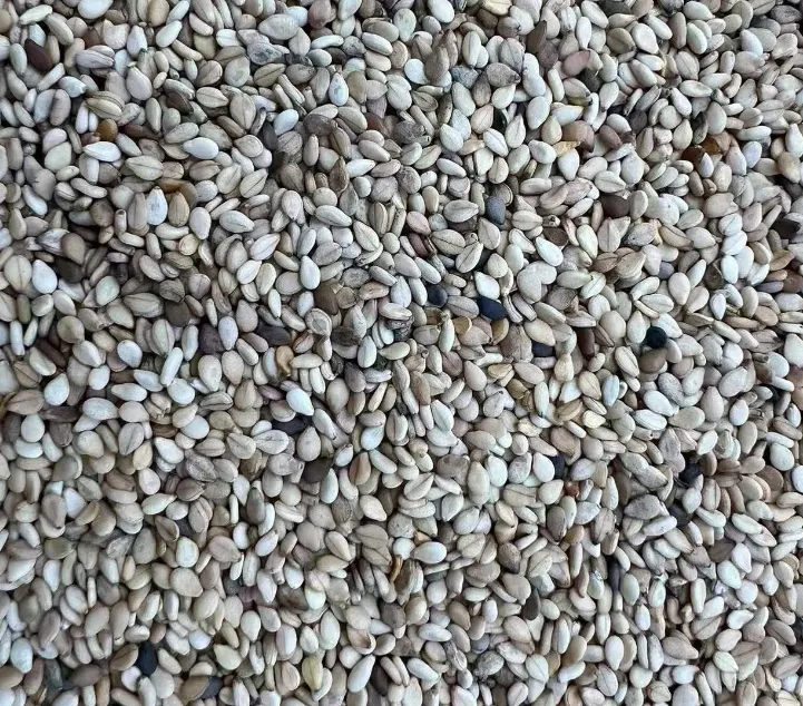 SESAME SEEDS