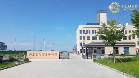 RunGreen Agrotech(Shandong)Co., Ltd