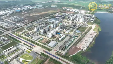 Jiangxi Xinzhen Technology Co., Ltd.