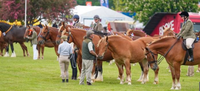 2026 Suffolk International Agricultural Products Exhibition