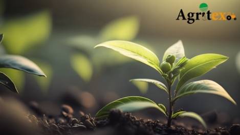 Syria Damascus Agriculture and Livestock Exhibition 2026