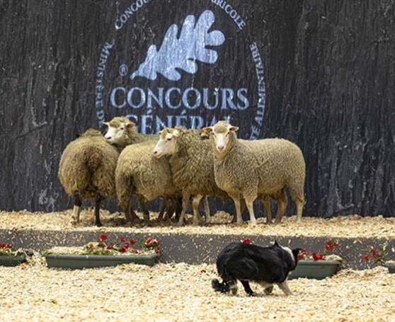 2026 Paris International Agriculture and Animal Husbandry Exhibition