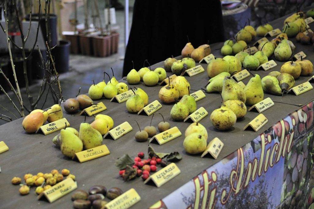 2026 Italy Piacenza International Peak Industry Exhibition