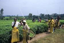 2024 Kenya Nairobi Livestock and Poultry Industry Exhibition