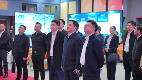 Government and enterprise collaboration, deeply cultivating industries | Leaders from Liuzhou City and Xishuangbanna Prefecture visit IBI